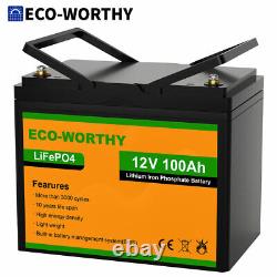 100Ah 12V Lithium Lifepo4 Battery with BMS for Off-Grid/Marine/Solar System