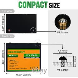 100Ah 12V Lithium Lifepo4 Battery with BMS for Off-Grid/Marine/Solar System