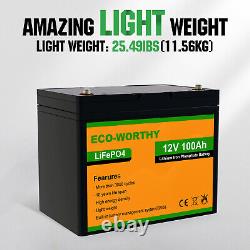 100Ah 12V Lithium Lifepo4 Battery with BMS for Off-Grid/Marine/Solar System