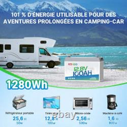 12V 100Ah LiFePO4 Lithium Battery 15,000 Deep Cycles with 100A BMS