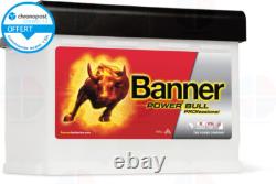 12V 63Ah 600A Car Battery Banner Power Pro P6340 D15 L2