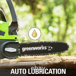 24V Battery Chainsaw 25cm GreenWorks G24CS25 with 2Ah Battery & Charger