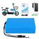 48v 20ah Electric Bike Battery Lithium Pedelec Battery + Charger