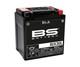Bs Battery Factory Activated Maintenance-free Sla Battery Bix30l