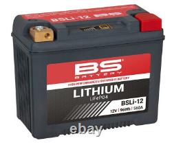 BS BATTERY Lithium-Ion Battery BSLI-12