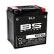 Bs Battery Maintenance-free Factory Activated Sla Battery Bix30l