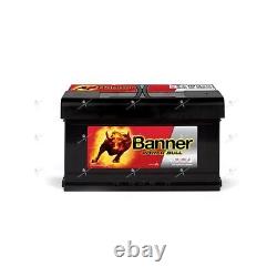 Banner Power Bull Car Battery P8014 12v 80ah 700A 315x175x175mm