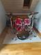 Complete Acoustic Drum Set With Stands, Cymbals, And Remo Bravo Ii Seat