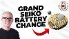 Grand Seiko 9f Battery & Gasket Change Save 100
