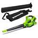 Greenworks 2x24v Cordless Leaf Vacuum Blower With Shoulder Strap
