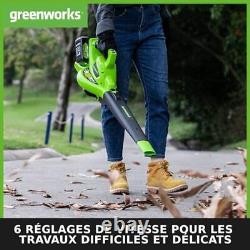 Greenworks 2x24V Cordless Leaf Vacuum Blower with Shoulder Strap