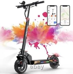 HITWAY Folding Electric Scooter 10 800W Battery 13AH with LCD Screen