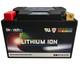 Lithium Battery Yb16al-a2 Yb14l-a2 Yb12al-a2 Yv10l-b 12n14-3aytx14