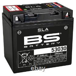 Maintenance-free activated factory SLA battery 53030