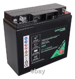 PATONA Premium AGM 12V 22Ah Lead-Acid Battery VRLA 1800 Cycles Maintenance-Free