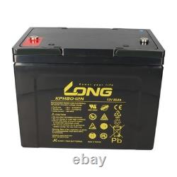 Replacement Battery for Vermeiren Carpo 4 2x Kung Long 12V 80Ah Long Life