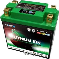 SKYRICH Lithium-Ion Battery LIB9