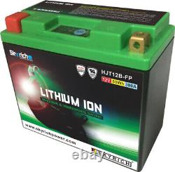 SKYRICH Lithium-Ion LT12B Battery