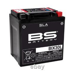 SLA BS Battery for Quad Goes 525 G 520 Max 4X4 2009 YIX30L / 12V
