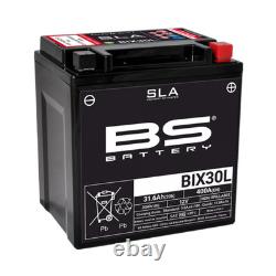 SLA BS Battery for Quad Goes 525 G 520 Max 4X4 2009 YIX30L / 12V