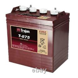 Slow Battery Discharge Trojan T875 8v 170ah
