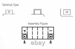 YUASA WithC maintenance-free battery activated factory YTZ14S