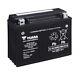 Yuasa Ytx24hl-bs Agm Battery 12v 21ah Ready For Assembly Hvt-06 12 24hl