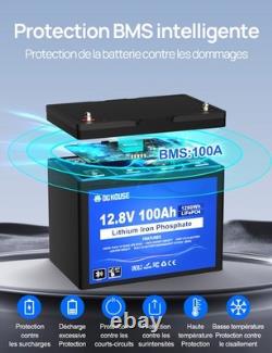12V 100Ah LiFePO4 Bluetooth Batterie, BMS 100A amélioré, parfait pour caravanes
