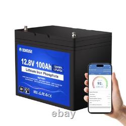 12V 100Ah LiFePO4 Bluetooth Batterie, BMS 100A amélioré, parfait pour caravanes