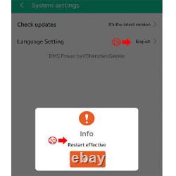 2S 24S équilibreur actif Li-ion Lipo Lifepo4 LTO égaliseur de batterie BMS APP