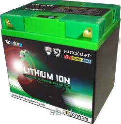 Batterie SKYRICH Lithium-Ion LTX30LHQ