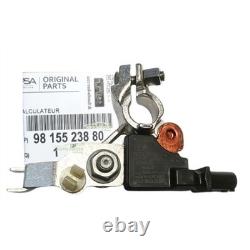 Borne Cosse Batterie Avec Boitier Citroen Peugeot 9815523880 Origine Autre