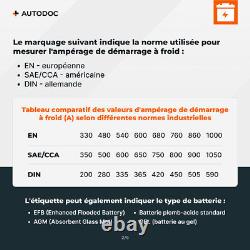 CENTRA CJ1952 Power, OffroadPRO Batterie de Démarrage 6V 195Ah 1000A EN