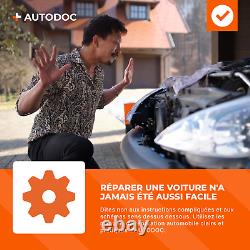 CENTRA CJ1952 Power, OffroadPRO Batterie de Démarrage 6V 195Ah 1000A EN