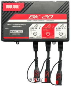 Chargeur de batterie intelligent BS BATTERY BK20 6V/12V 3x2A
