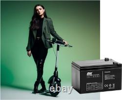 DSK 10364 Batterie au plomb scellée AGM Gel 12V 12Ah