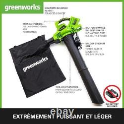 Greenworks 2x24V Aspirateur Souffleur Sans fil de Feuilles à Batterie Bandoulièr