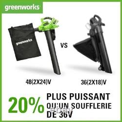 Greenworks 2x24V Aspirateur Souffleur Sans fil de Feuilles à Batterie Bandoulièr