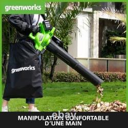 Greenworks 2x24V Aspirateur Souffleur Sans fil de Feuilles à Batterie Bandoulièr