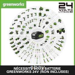 Greenworks 2x24V Aspirateur Souffleur Sans fil de Feuilles à Batterie Bandoulièr