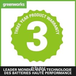 Greenworks 2x24V Aspirateur Souffleur Sans fil de Feuilles à Batterie Bandoulièr