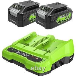 Greenworks Batteries 24V et Chargeur Double Fente Deux Batteries 4Ah, Batterie