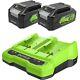 Greenworks Batteries 24v Et Chargeur Double Fente Deux Batteries 4ah, Batterie