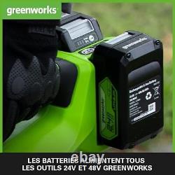 Greenworks Batteries 24V et Chargeur Double Fente Deux Batteries 4Ah, Batterie