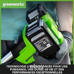 Greenworks Batteries 24V et Chargeur Double Fente Deux Batteries 4Ah, Batterie