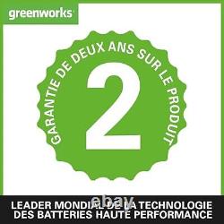 Greenworks Batteries 24V et Chargeur Double Fente Deux Batteries 4Ah, Batterie