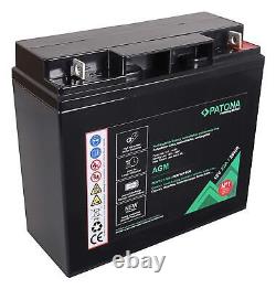 PATONA Premium AGM 12V 22Ah Batterie au Plomb VRLA 1800 Cycles sans Entretien