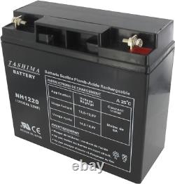 Tashima Batterie Gel Étanche 12V 20AH, Performances Fiables pour Motoculture