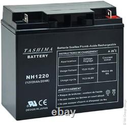 Tashima Batterie Gel Étanche 12V 20AH, Performances Fiables pour Motoculture