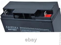Tashima Batterie Gel Étanche 12V 20AH, Performances Fiables pour Motoculture